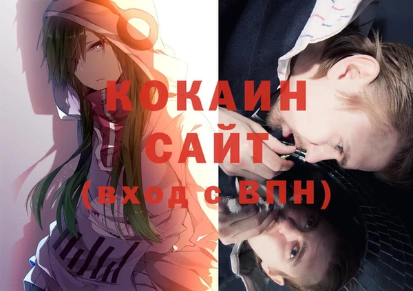 ПСИЛОЦИБИНОВЫЕ ГРИБЫ Каменка