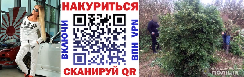 Каннабис гибрид  Константиновск 